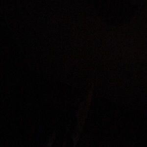 Meet your Posher, Virgil